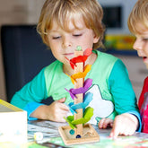 Wooden Ball Game Marble Slider