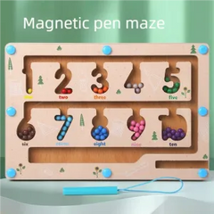 Mini Magnetic Bead Maze