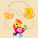 Life cycle board puzzle