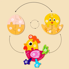 Life cycle board puzzle