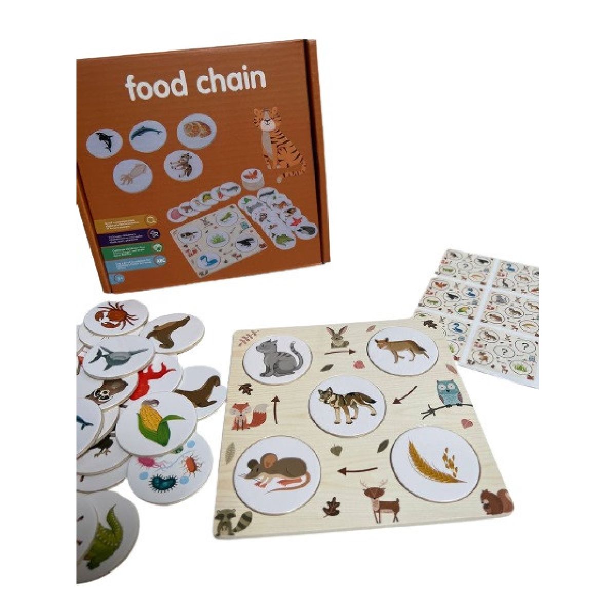 Food chain / Food Cycle puzzle