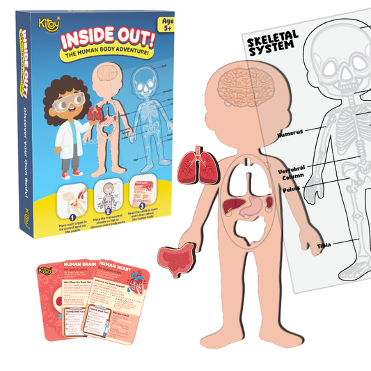 🧠 Inside Out! Human Body Learning Puzzle Set