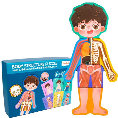 Magnetic Wooden Human Body Parts Structure Puzzle Educational Learning Toys Boys Girls