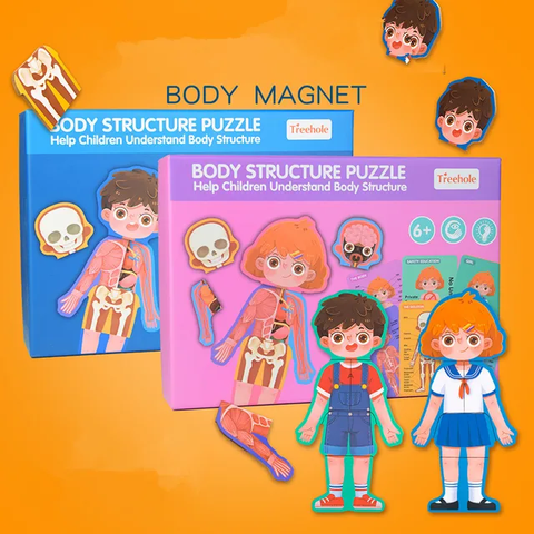 Magnetic Wooden Human Body Parts Structure Puzzle Educational Learning Toys Boys Girls