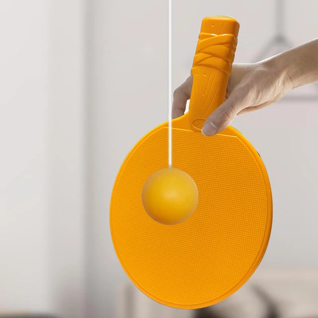Hang-N-Pong: The Ultimate Indoor Table Tennis Trainer for Kids and Adults