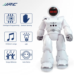 Robot Toy