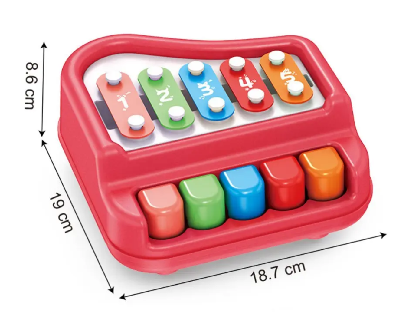 Musical Xylophone & Piano 2-in-1 (small)🎵