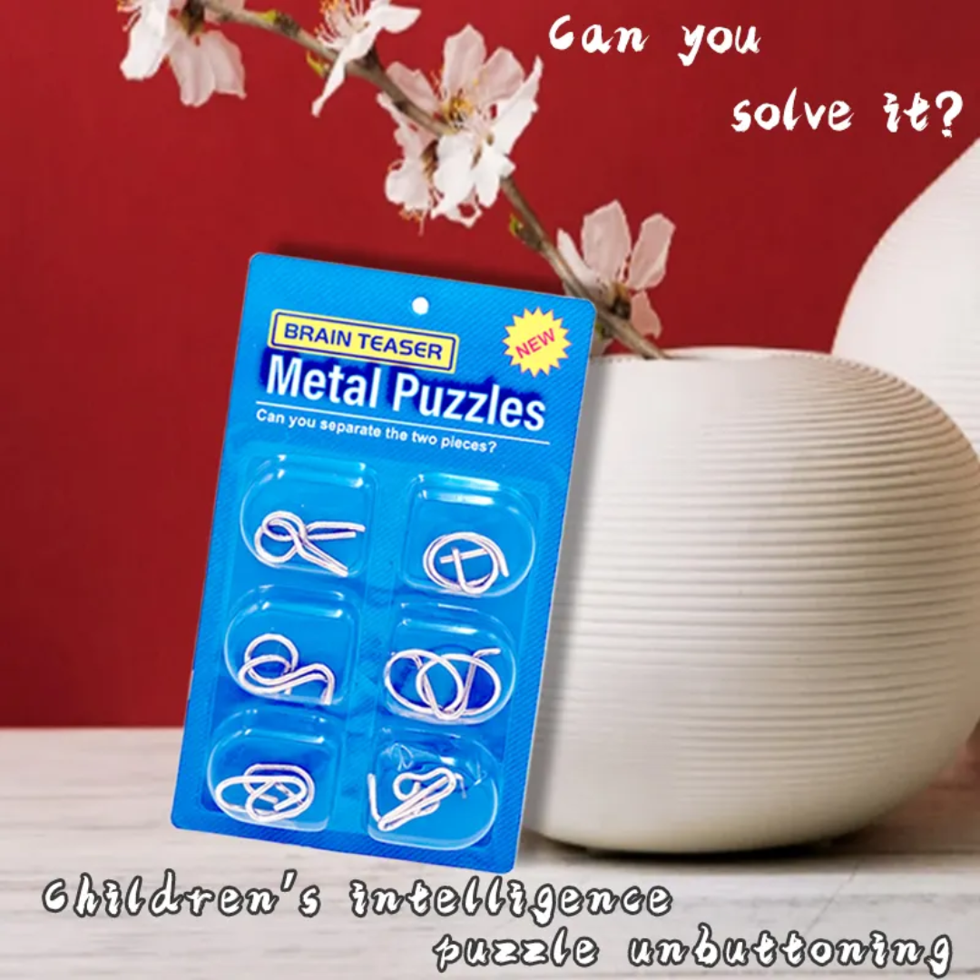 Interlocking Metal 3D Puzzle (6set)