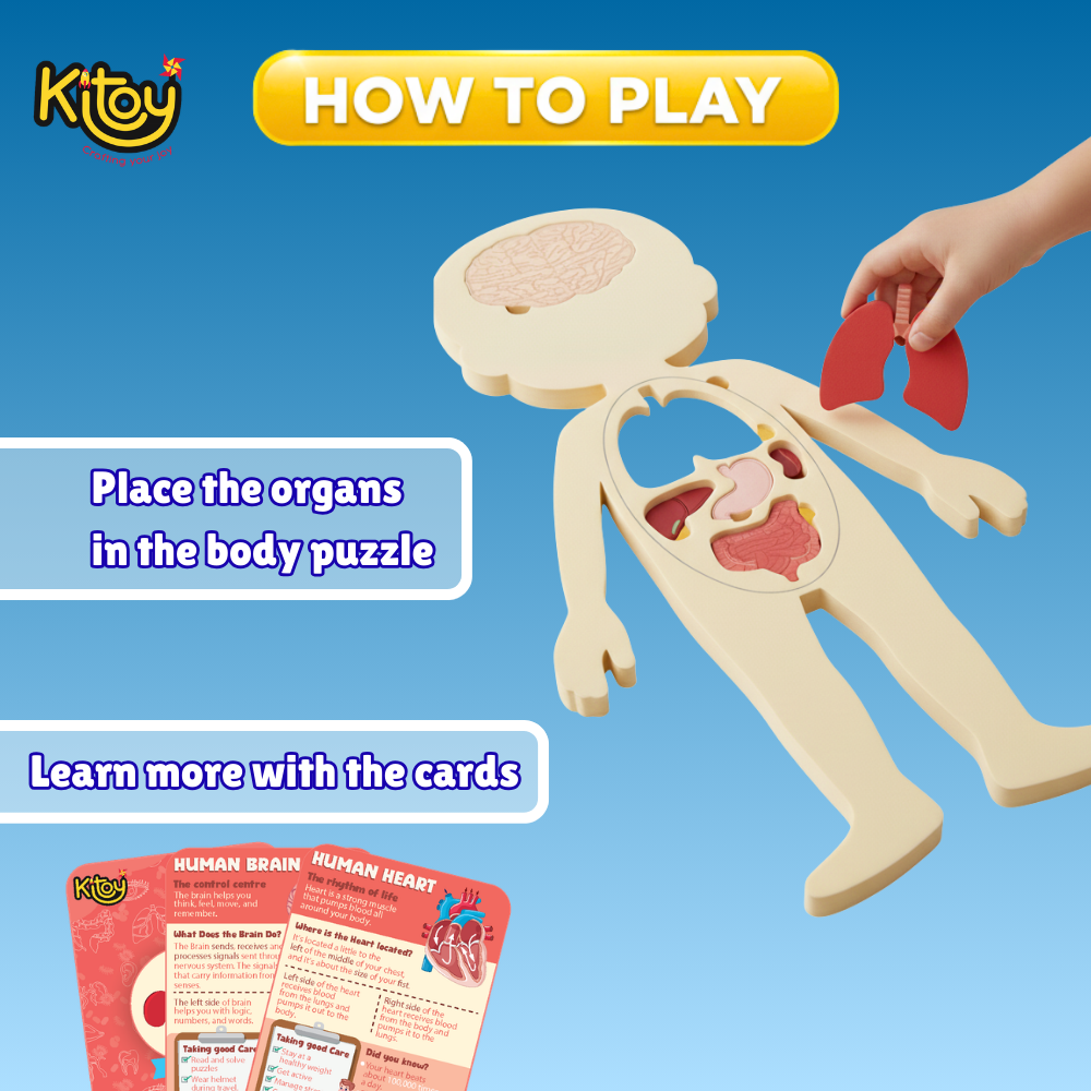 🧠 Inside Out! Human Body Learning Puzzle Set