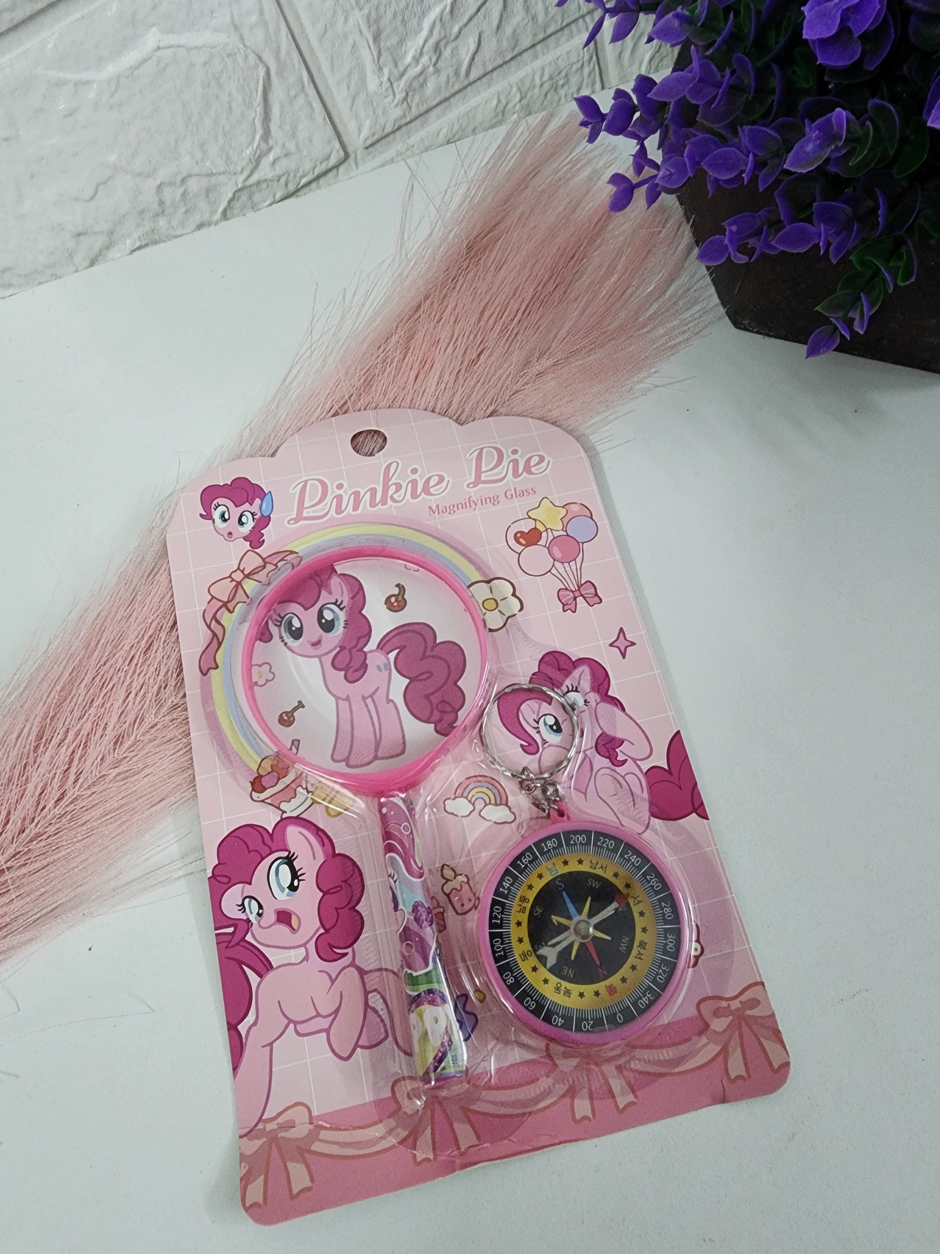 Magnifying Glass Compass 🔎 🧭