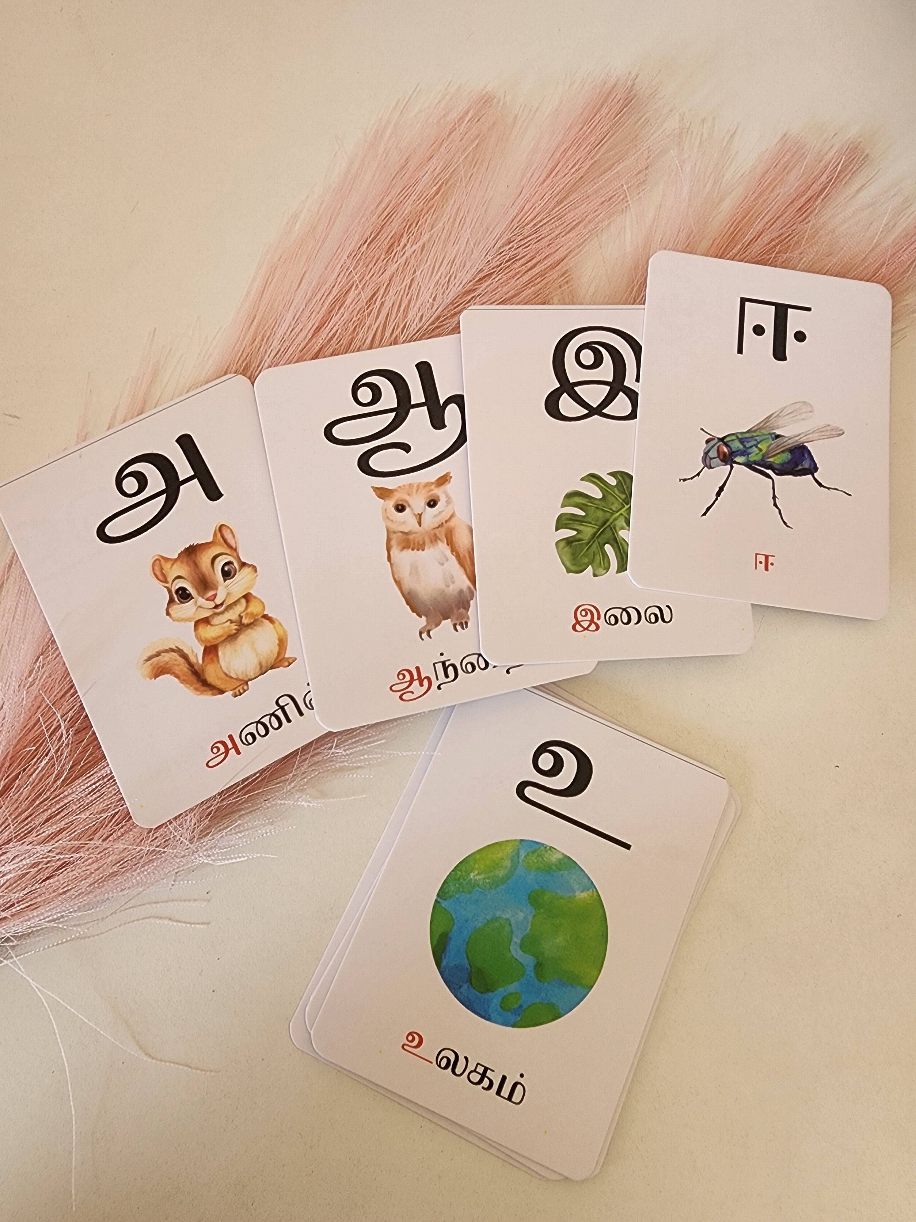 Tamil Learning Flash Cards (Each Set)