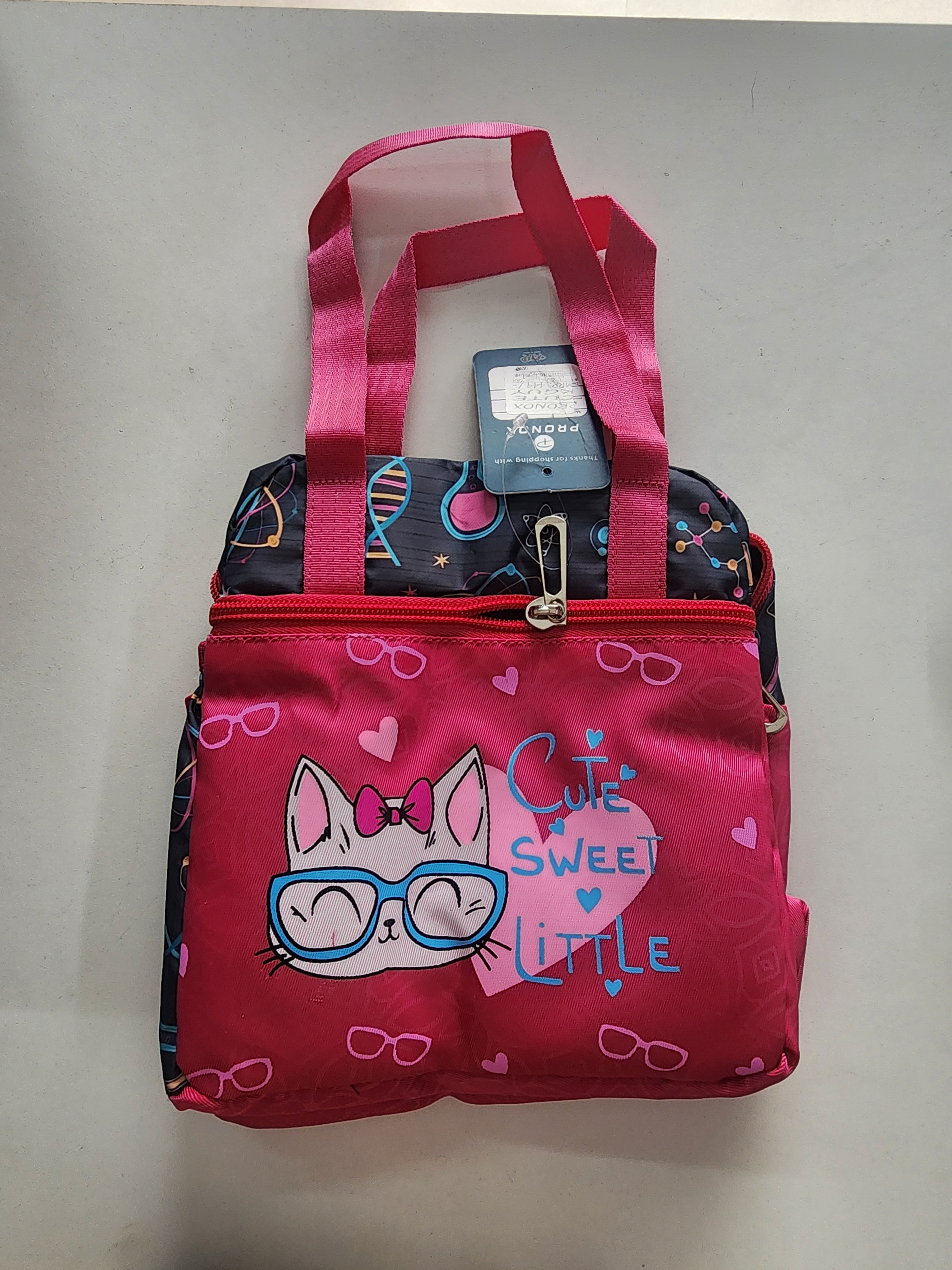 Cute Kitty Lunch Bag 🐱💙