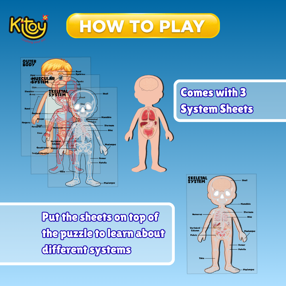 🧠 Inside Out! Human Body Learning Puzzle Set