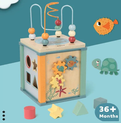 Ocean 5 in 1 Activity Cube