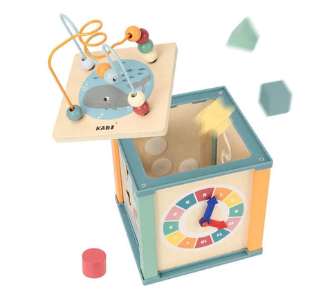 Ocean 5 in 1 Activity Cube