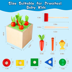 Wooden-Play-Kit 5 in 1 Montessori Play