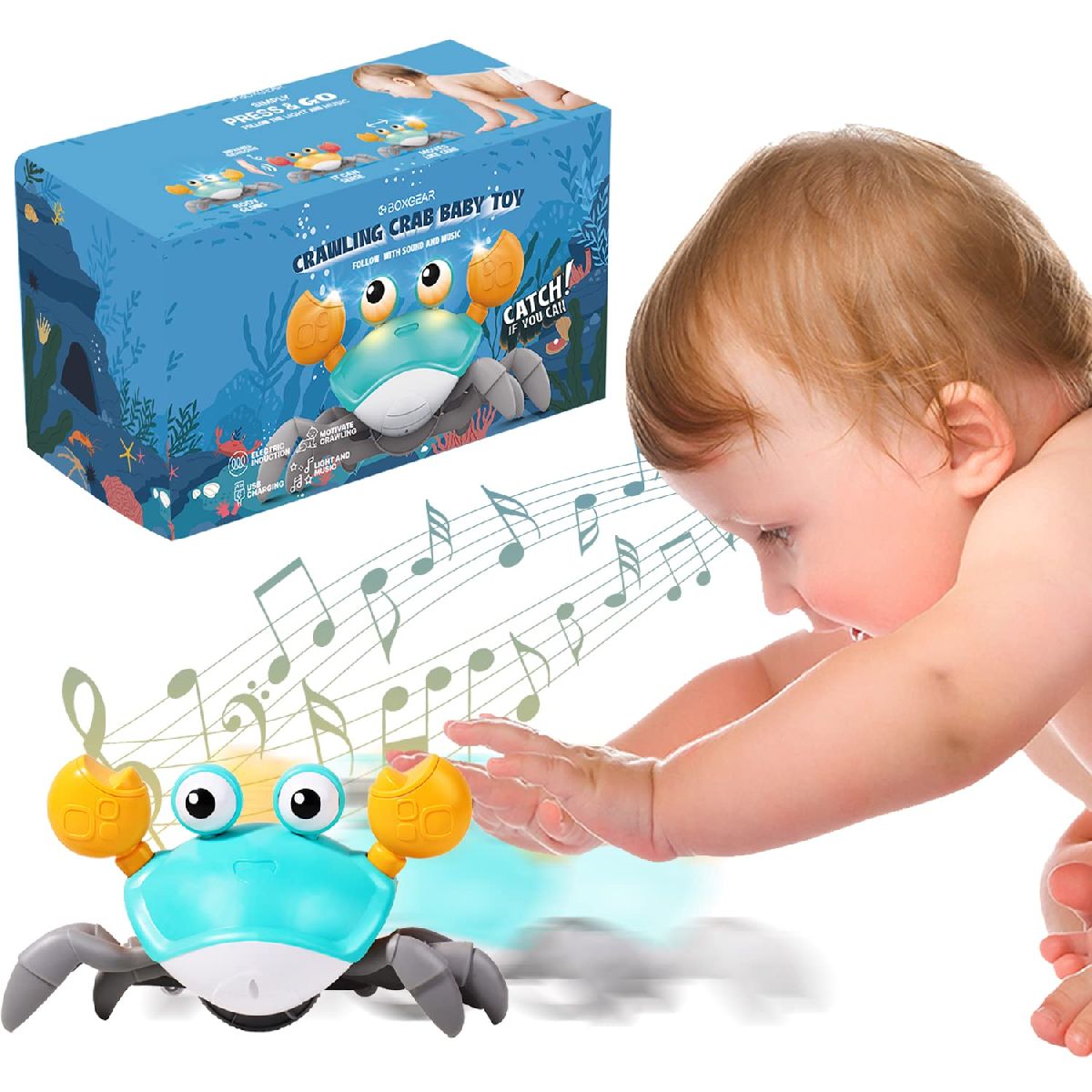Crawling Crab Baby Sensory Development, Learning with Light and Music Functions