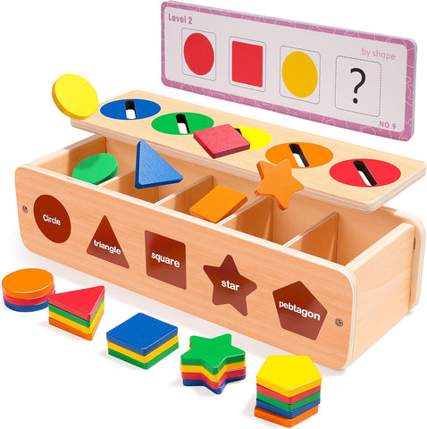 Wooden Shape & Color Sorting Toy with Storage Box, 25 Non-Toxic Geometric Blocks, Montessori Toy Preschool Educational Learning
