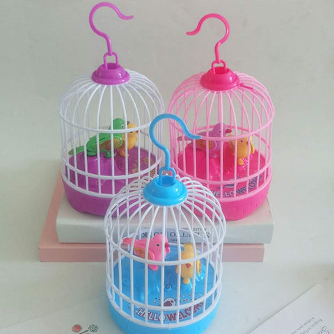  Bird Cage DK