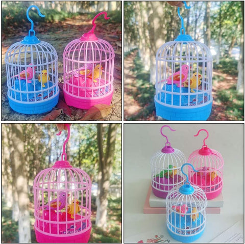  Bird Cage DK