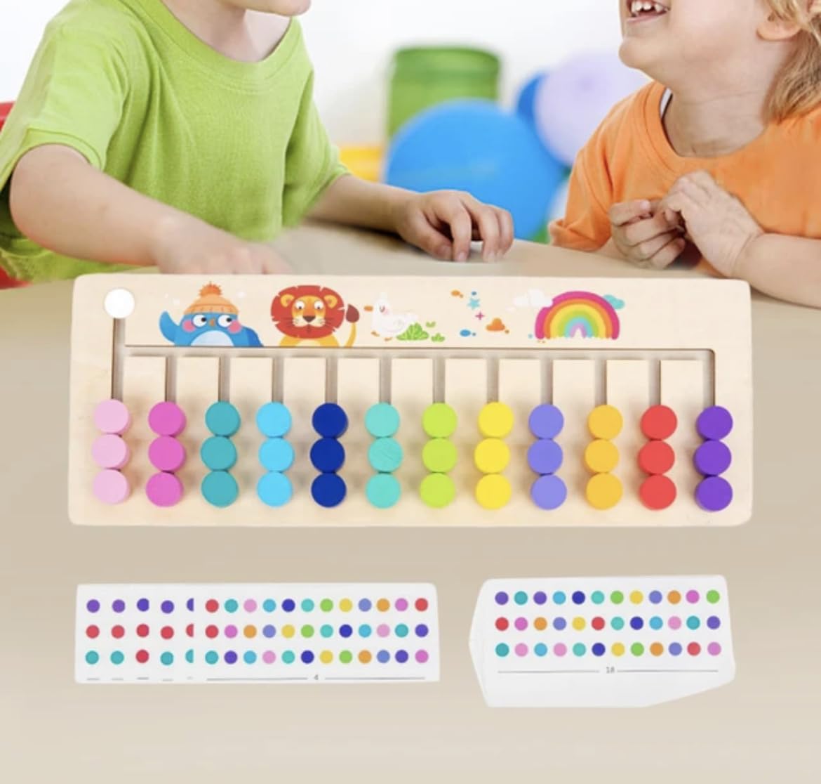 Matching Color logic maze| Brain Teasers(12 Color) – DK Toyz