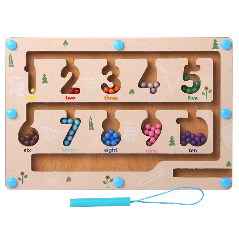 Mini Magnetic Bead Maze