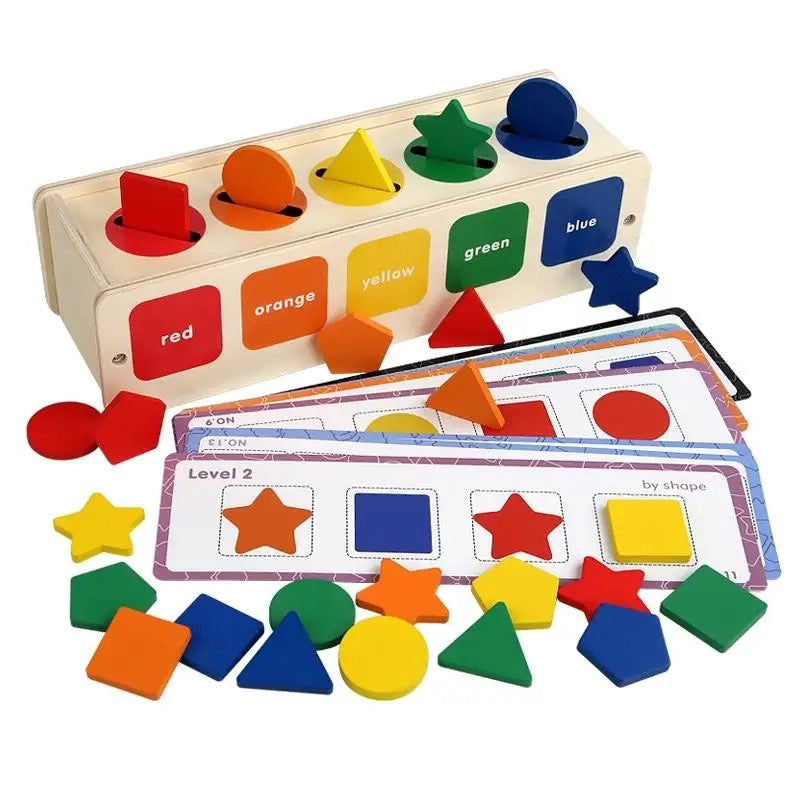 Montessori Toys Wooden Sorting Box