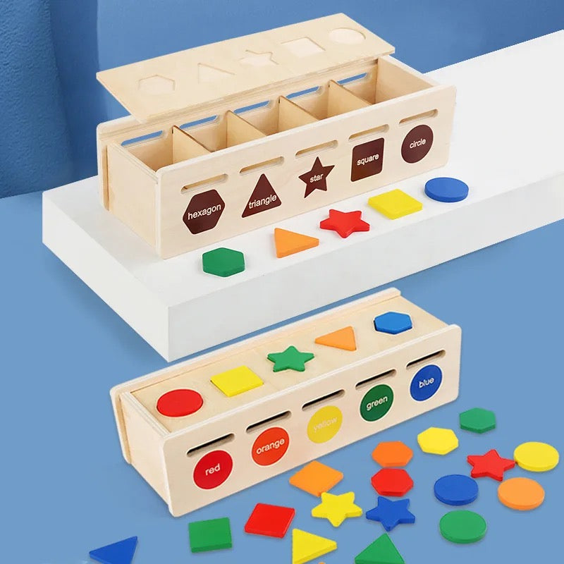 Montessori Toys Wooden Sorting Box