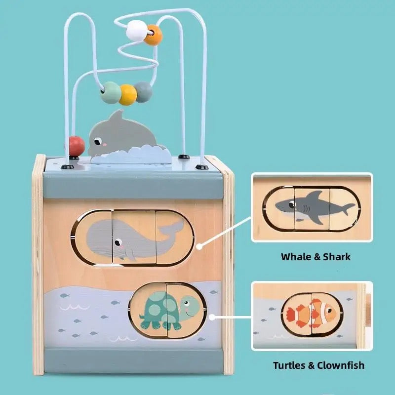 Ocean 5 in 1 Activity Cube