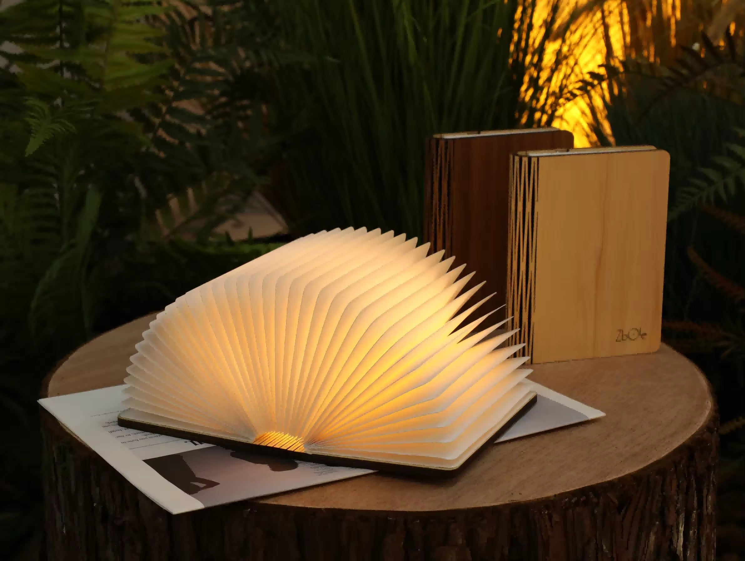 Book Light  Lamp