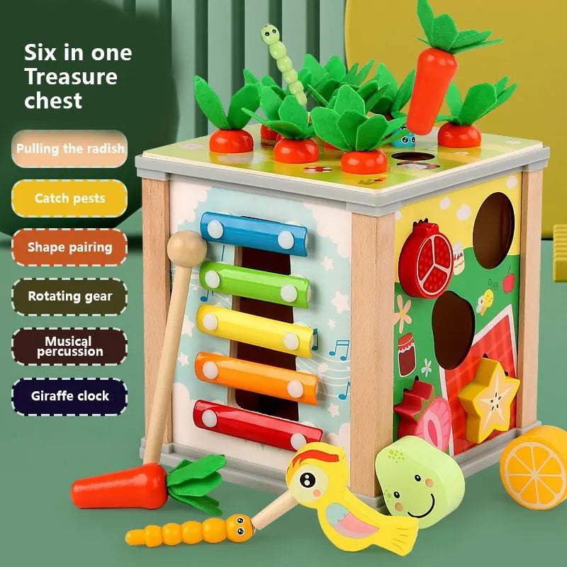 Montessori Wooden Educational Toys 6 in one activity box|Treasure Chests