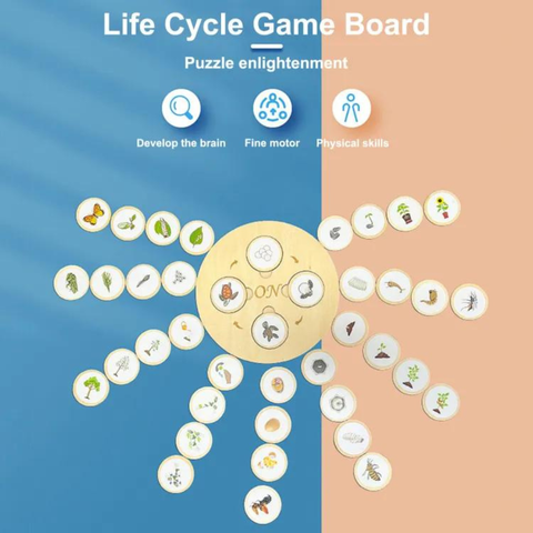 Life Cycle Board