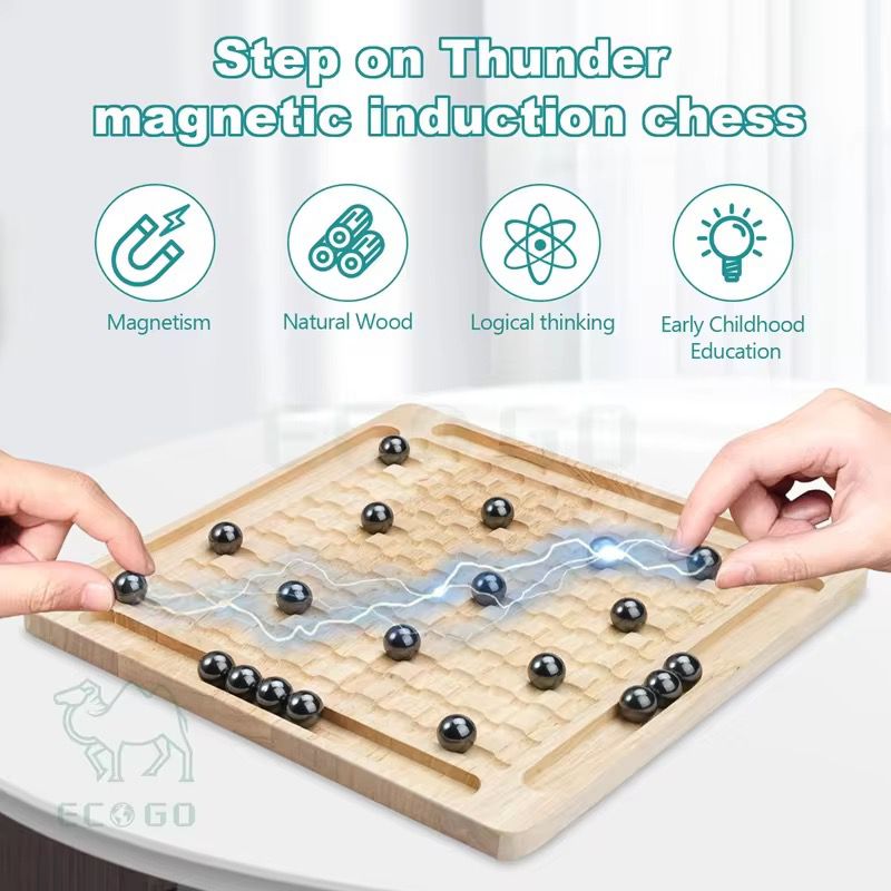 Magnetic Chess