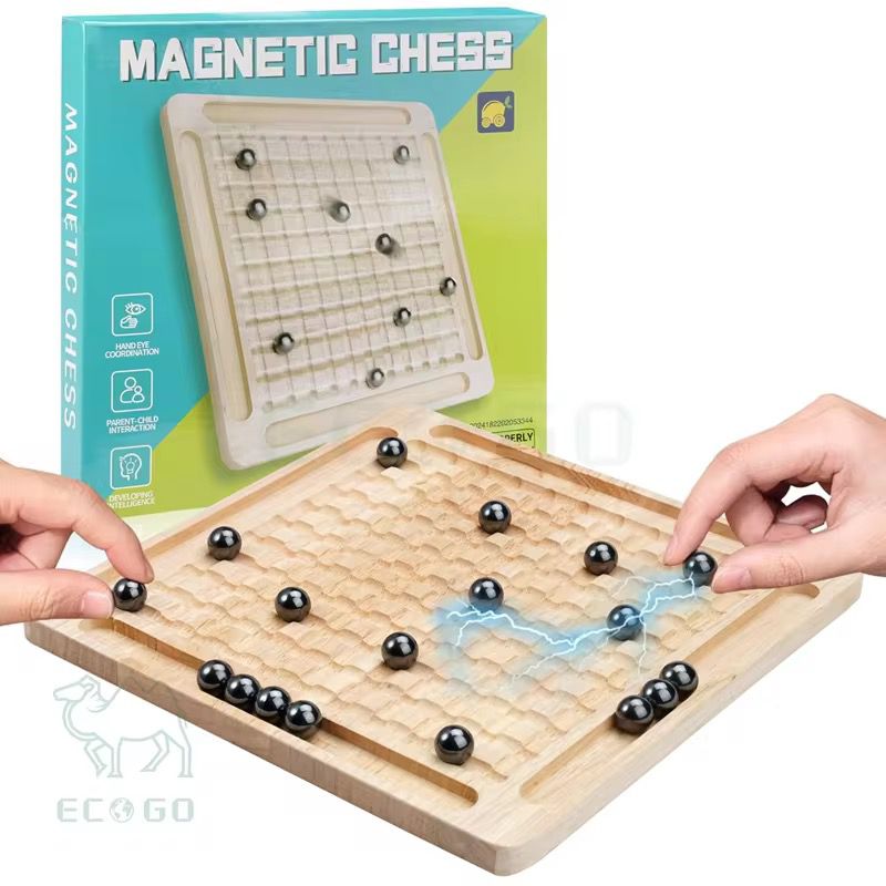 Magnetic Chess