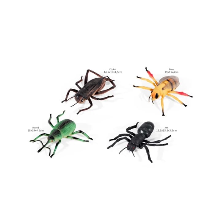 Realistic Insect Figure