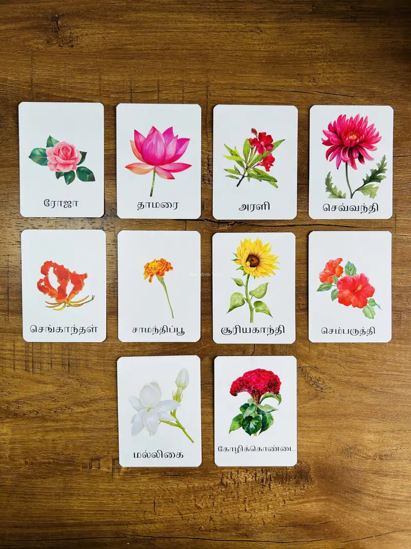Tamil Learning Flash Cards (Each Set)