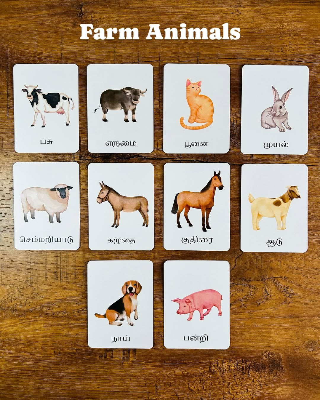 Tamil Learning Flash Cards (Each Set)