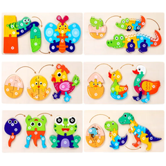 Life cycle board puzzle