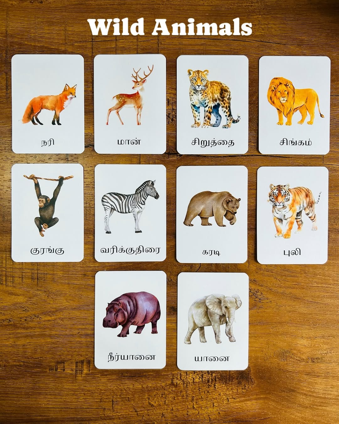 Tamil Learning Flash Cards (Each Set)