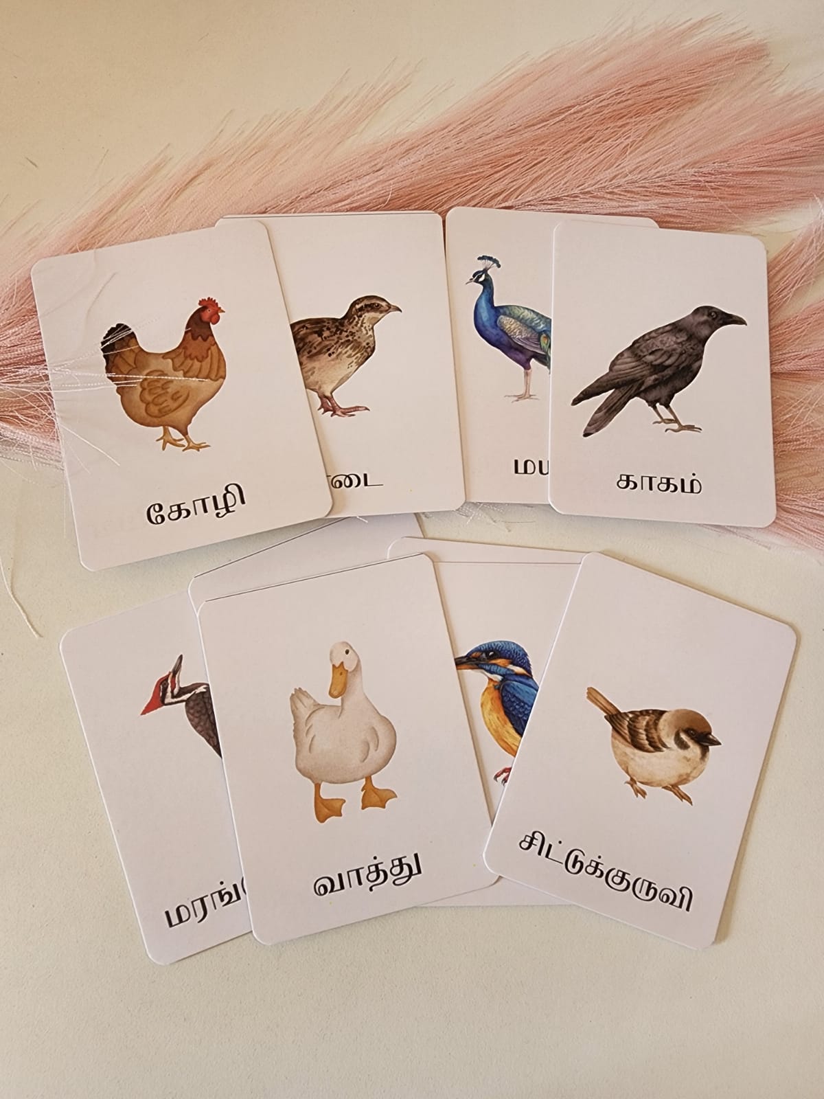 Tamil Learning Flash Cards (Each Set)