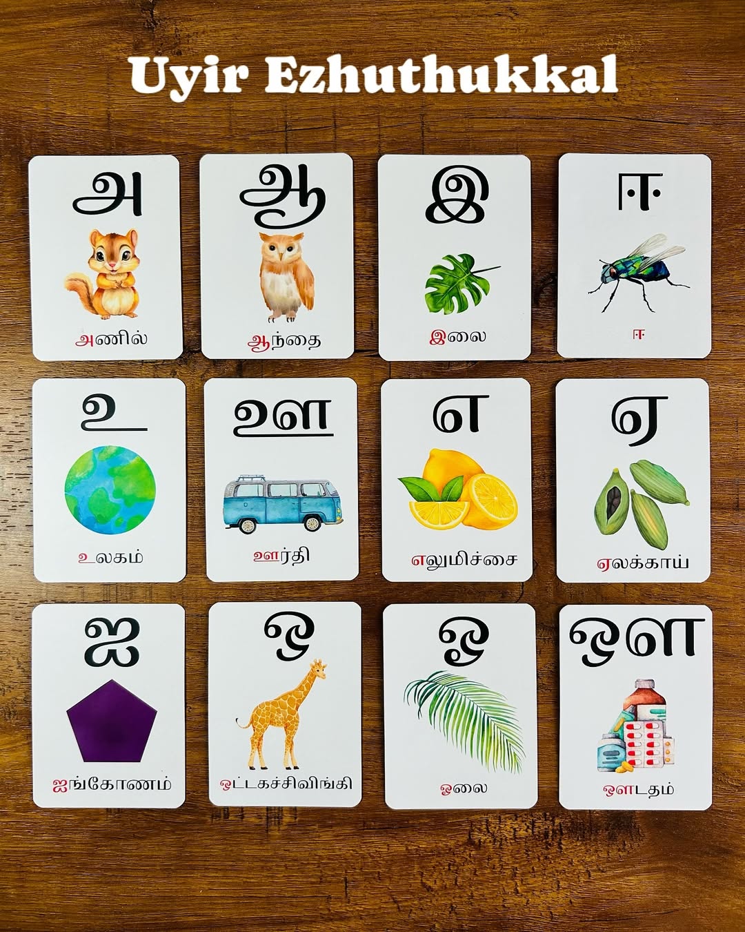 Tamil Learning Flash Cards (Each Set)