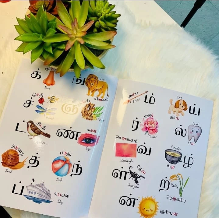என் முதல் சொற்களஞ்சியம் - My First Vocabulary Book 🌈